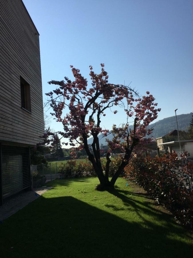 Oasi Di Laura A *